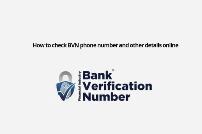 what is the code to check bvn